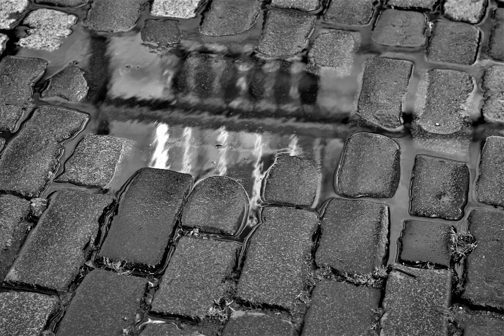 puddle reflection by christophercox