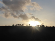 2nd Nov 2020 - late and low sunshine