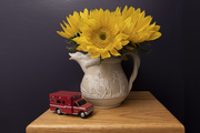 1st Nov 2020 - Odd Couple: Still Life with Sunflowers and Ambulance