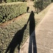 Long Shadows  by lisaconrad