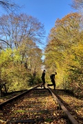 31st Oct 2020 - Autumn railtrack