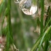 Details reflected in a rain drop... by marlboromaam