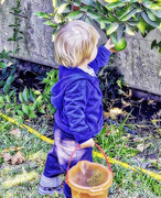 3rd Nov 2020 - Baby Wyatt Checks Progress Of Oranges