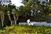 3rd Nov 2020 - The white wildflower center sign