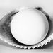 Egg Shell  by kvphoto