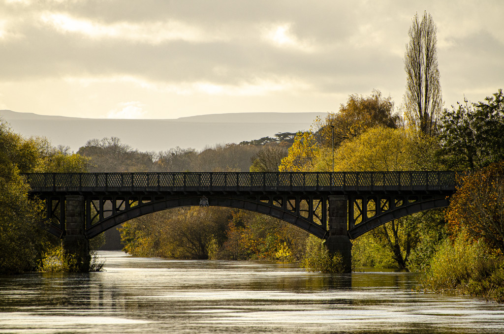 The old railway bridge over the Wye by clivee