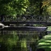 Footbridge in Bushy Park by 365nick