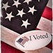 I Voted by jo38