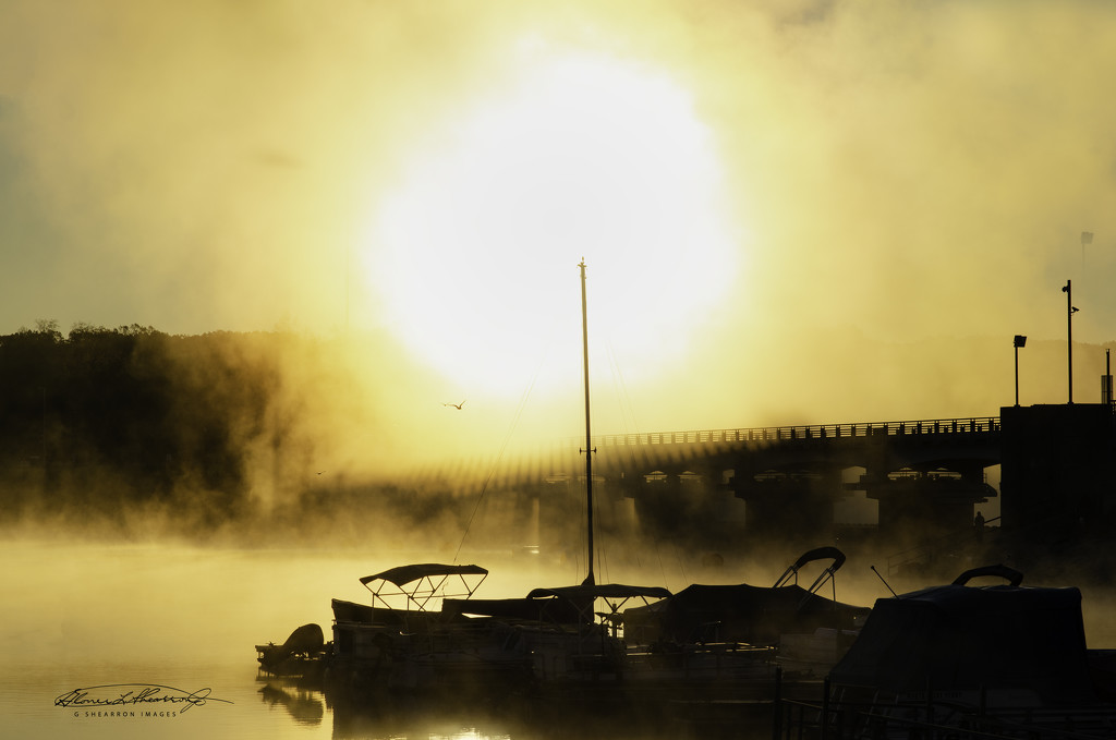 Foggy Morning on the Reservoir by ggshearron