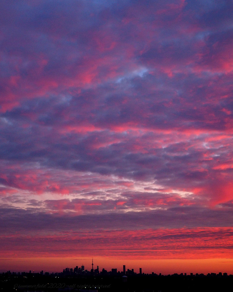 the painted sky by summerfield