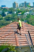 4th Nov 2020 - The Roofer. There are a few OH&S* issues here!