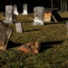 LHG-4133- Babbs Cemetery by rontu
