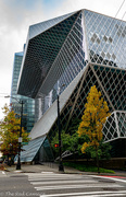 4th Nov 2020 - Angles of the Seattle Library 