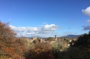 4th Nov 2020 - View of Ludlow Castle taken from Whitcliffe