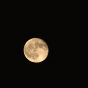 1st Nov 2020 - Evening Moon