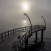 Foggy Morning on Brant St. Pier by pdulis