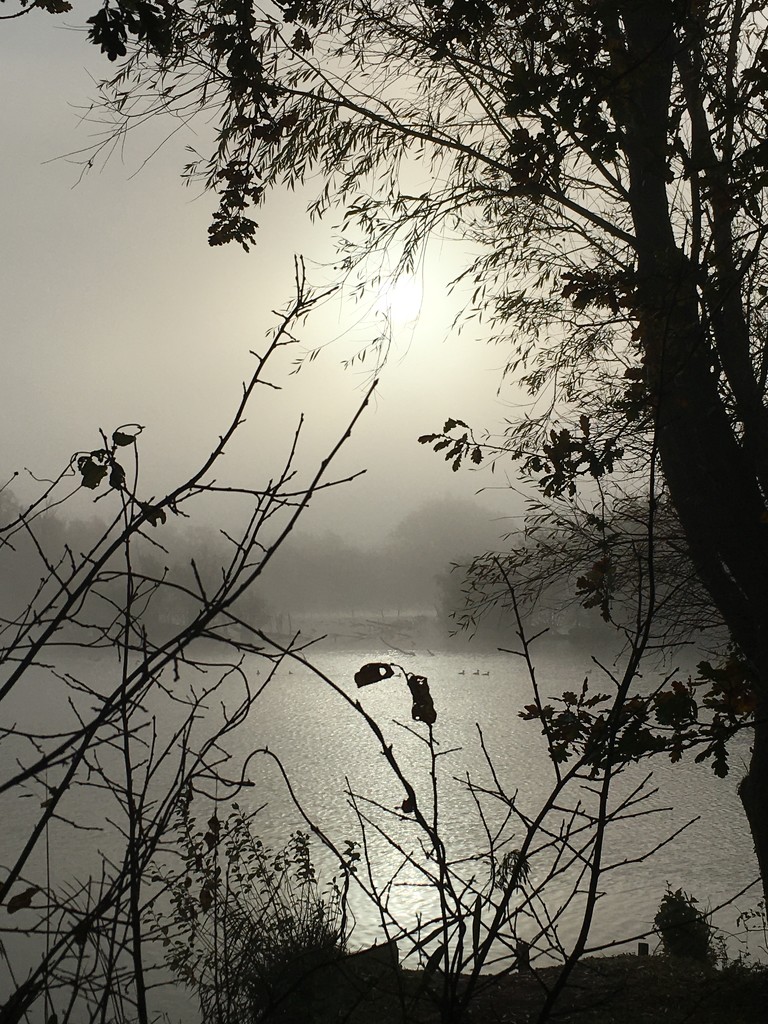 A beautiful misty morning across the lake by 365anne