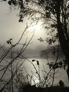 5th Nov 2020 - A beautiful misty morning across the lake