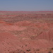 Painted Desert  by tosee