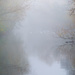 In the morning mist by rumpelstiltskin