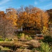 Autumn in Ringve Botanical Garden by elisasaeter