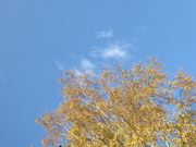 14th Oct 2020 - A rare blue sky in October