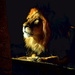 Shining Lion by randy23