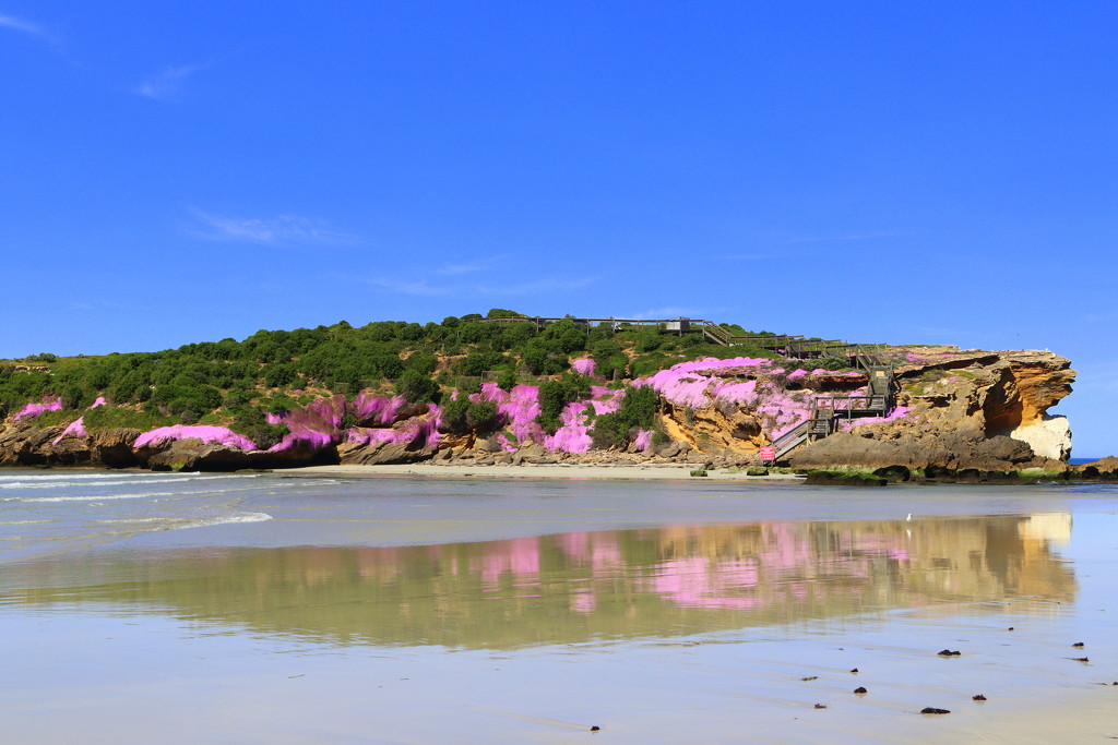 Our pink island by gilbertwood
