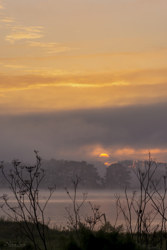Misty Sunrise at Lake Whangape by nickspicsnz