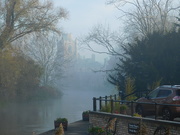 6th Nov 2020 - Another misty morning