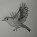 Doing one drawing a week this weeks word is flight by ilovelenses