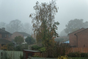 6th Nov 2020 - A misty morning