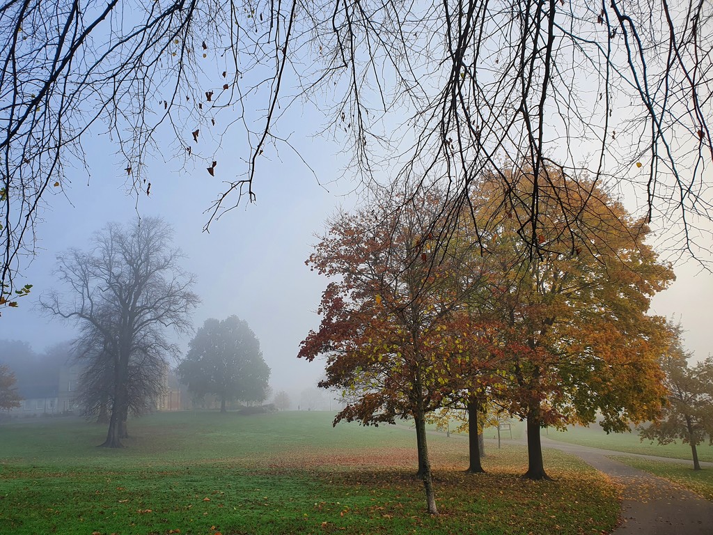 A foggy walk by isaacsnek