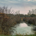 stream, creek, river? by jackies365