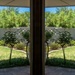 What I see when opening my front windoor by thedarkroom