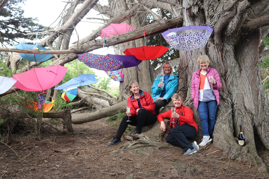 Brolly girls find a brolly forest by gilbertwood