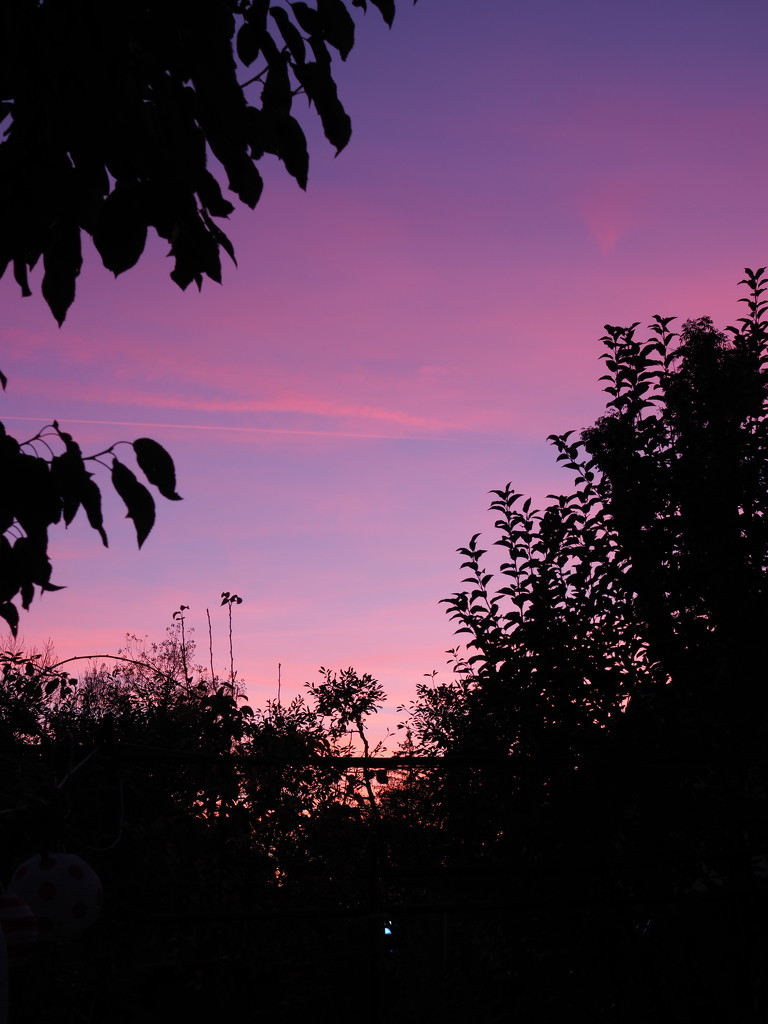Evening sky by monikozi