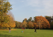 7th Nov 2020 - Keeping fit in the park