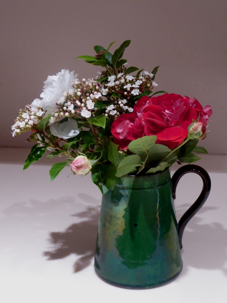 flowers from the garden by snowy