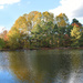 Autumn pond view by homeschoolmom