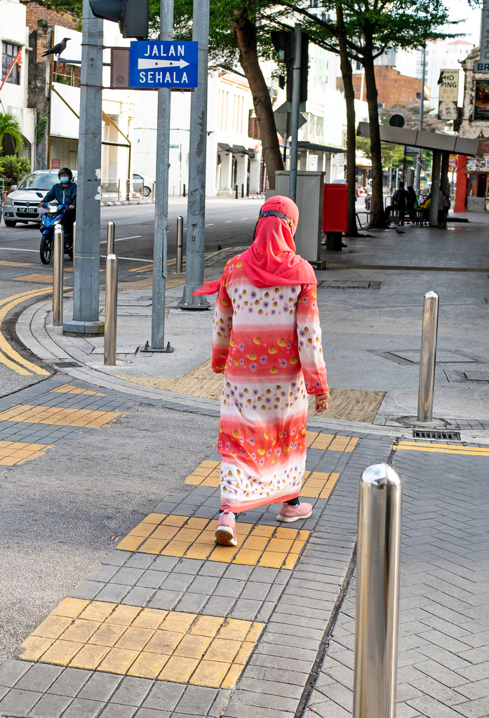 Colourful Lady on Crossing by ianjb21