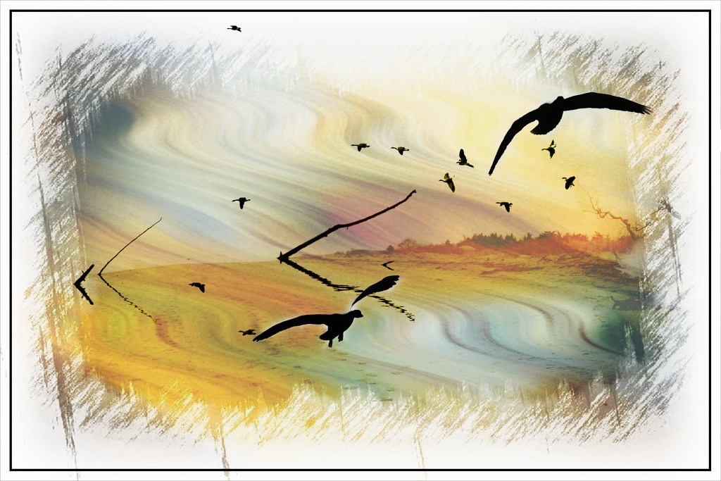 Birds in the Air Composite by olivetreeann