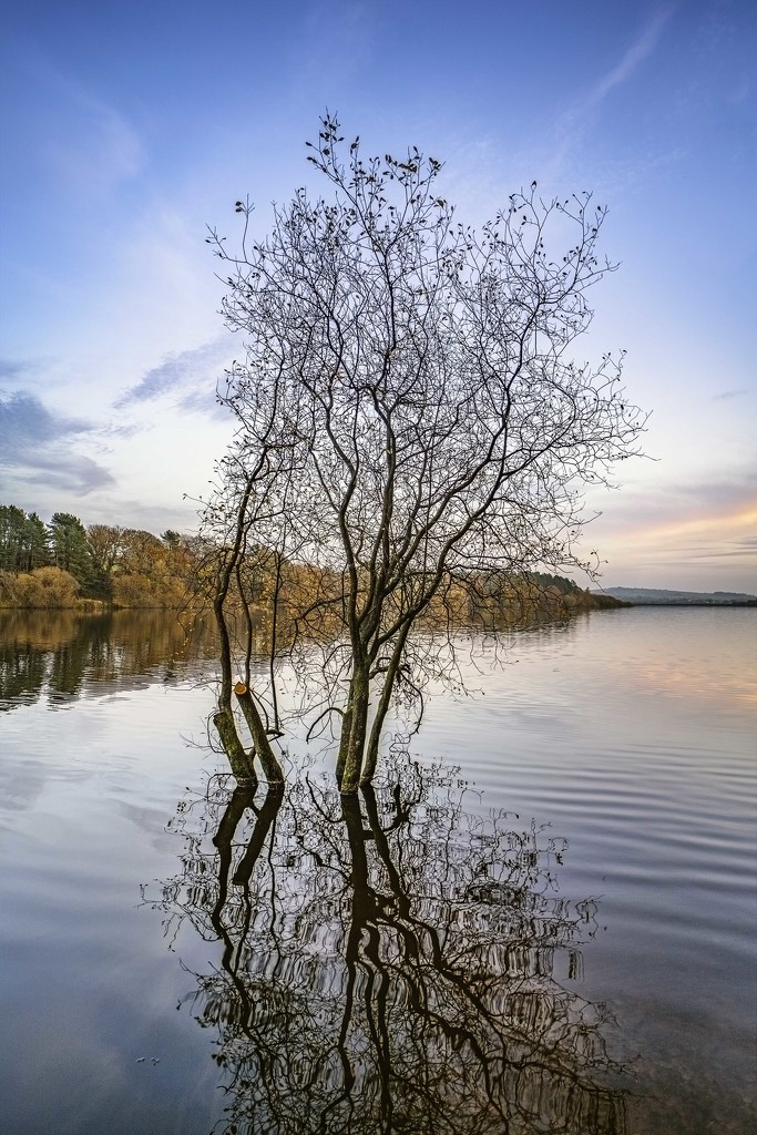 Wayoh Reservoir by gamelee