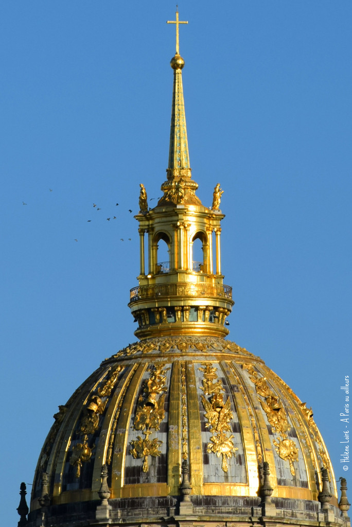 pigeons on the Invalides by parisouailleurs