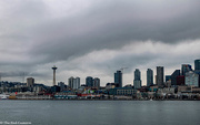 8th Nov 2020 - Typical Cloudy Weather in Seattle 