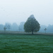 Frost and fog by rumpelstiltskin