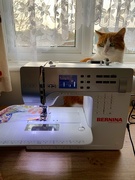 7th Nov 2020 - Sewing Assistant