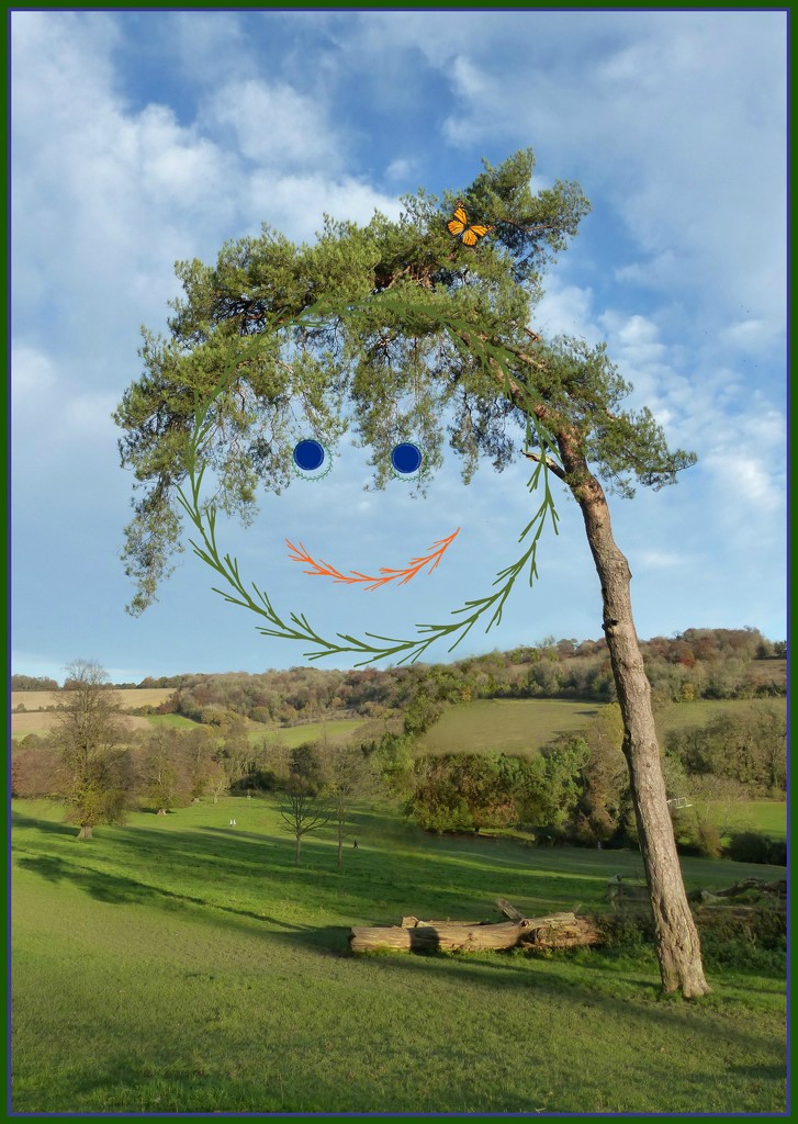 a bit of fun with what was a beautiful tree  by jokristina