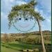a bit of fun with what was a beautiful tree  by jokristina