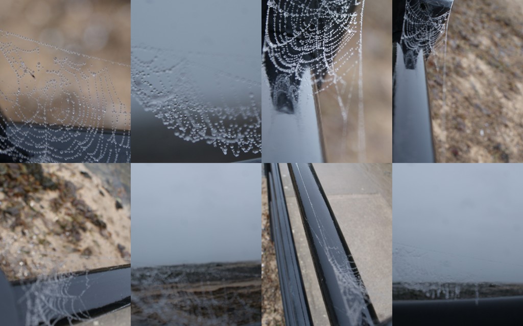 1 cobweb collage by la_photographic